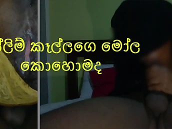 Thai breezy Drill rocks rigid in HD pornography flick with Sri Lankan honey's fat bum and udders