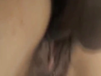 Asian whore gets say no to hairy pussy gap destroyed with a dick
